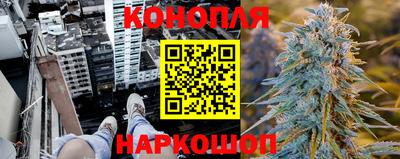 индика Ставрополь