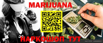индика Ставрополь