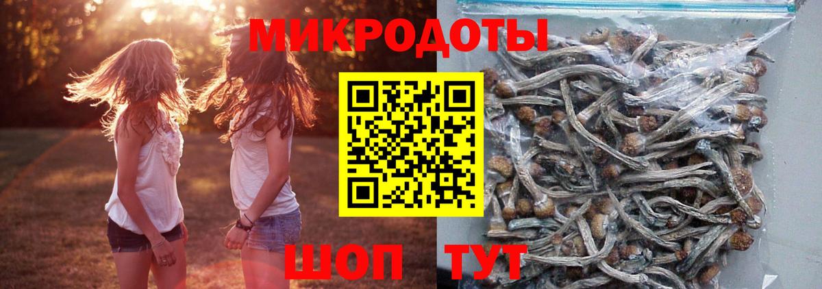 Псилоцибиновые грибы ЛСД  Вход с VPN  наркошоп  Галлюциногенные грибы MAGIC MUSHROOMS  Богородск 