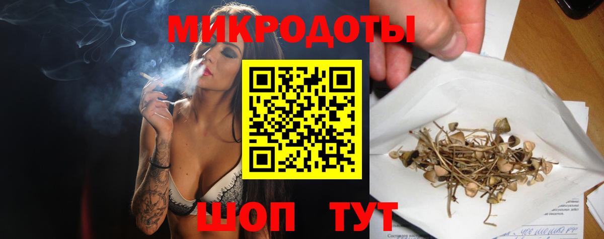 Галлюциногенные грибы Psilocybine cubensis Богородск